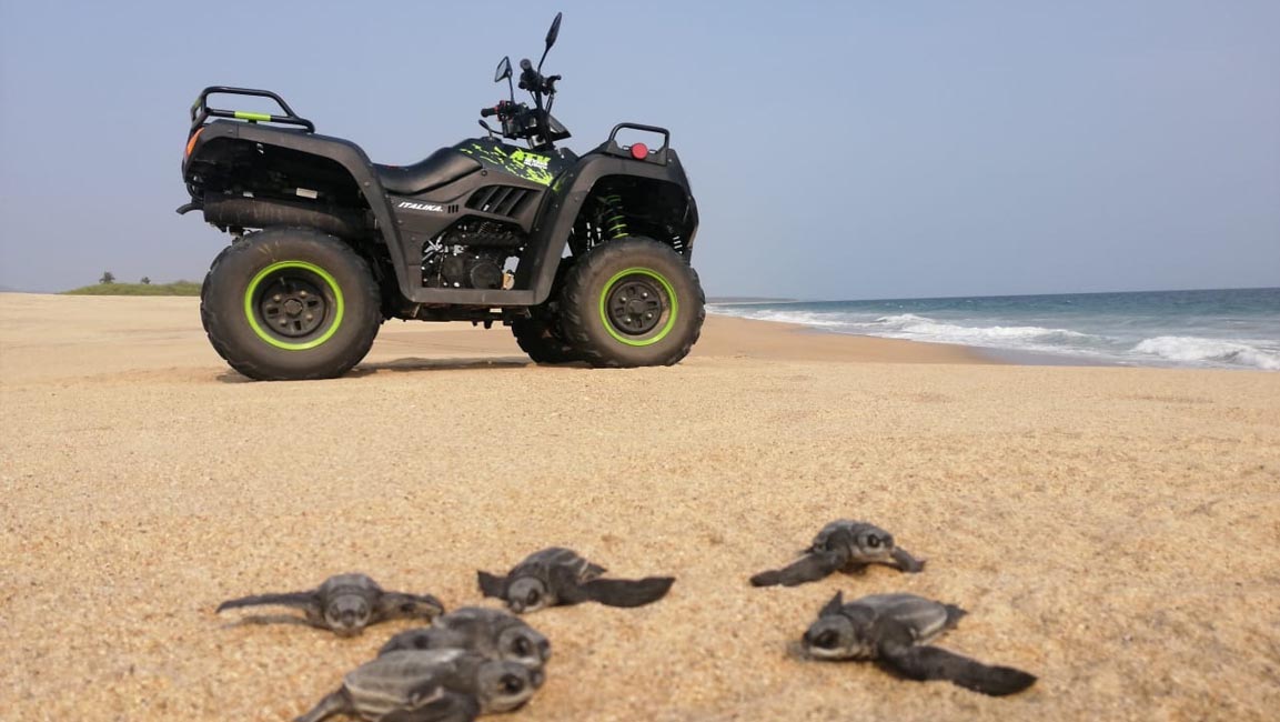 2020-05-31/italika-dona-cuatrimotos-para-proteger-a-tortugas-en-oaxaca